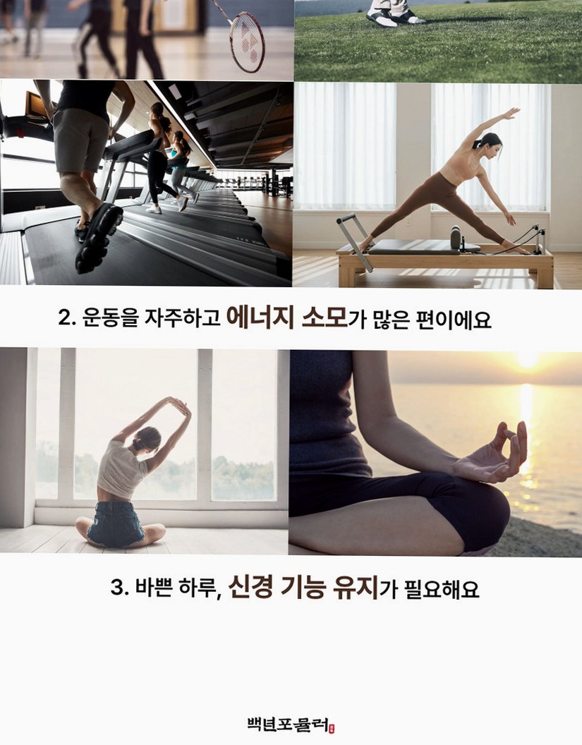 [약사개발] 근육이 편해지는 마그네슘 릴렉스마그콰트로 젖산마그네슘 유기염 마그네슘효능 60정, 1개
